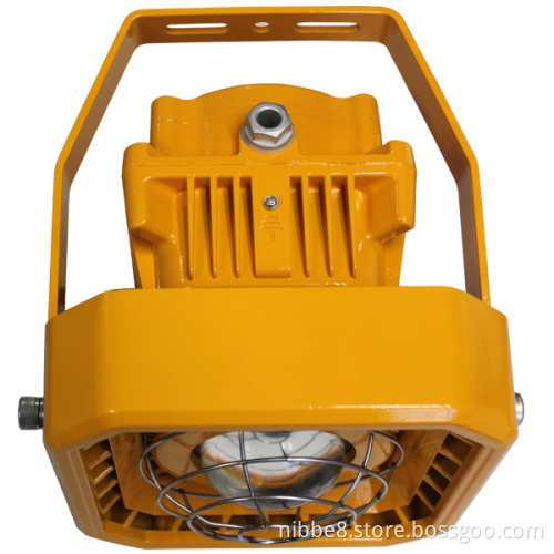 80W Explosion Proof Light